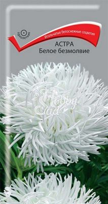 Цветы Астра Белое безмолвие (0,3 г) Поиск
