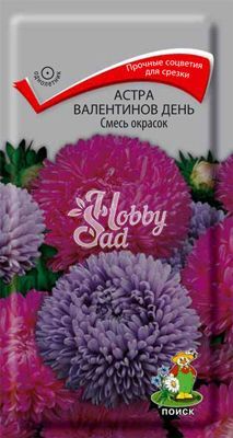 Цветы Астра Валентинов день Смесь окрасок (0,2 г) Поиск