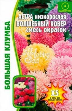 Цветы Астра Волшебный ковер низкорослая смесь (200 шт) ЭКЗОТИКА