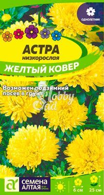 Цветы Астра Желтый Ковер низкорослая (0,2 гр) Семена Алтая