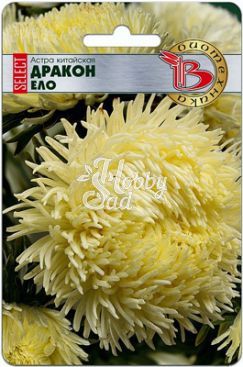 Цветы Астра китайская Дракон SELECT Ело (30 шт) Биотехника