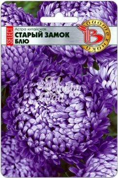 Цветы Астра китайская Старый замок SELECT Блю (30 шт) Биотехника