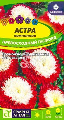 Цветы Астра Превосходный Гасфорд помпонная (0,2 гр) Семена Алтая