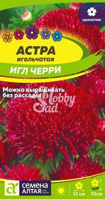 Цветы Астра Черри Игл (0,2 гр) Семена Алтая