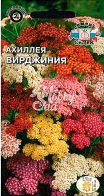 Цветы Ахиллея Вирджиния (садовая, смесь) (0,05 г) Седек