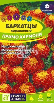 Цветы Бархатцы Примо Хармони карликовые (0,1 г) Семена Алтая