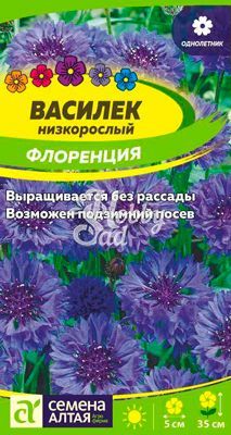 Цветы Василек Флоренция низкорослый (0,2 г) Семена Алтая