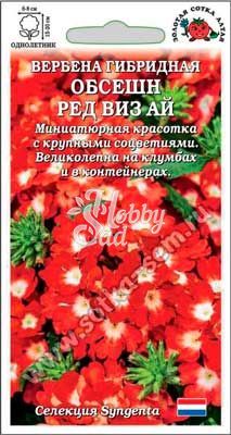 Цветы Вербена Обсешн Ред Виз Ай (5 шт) Сотка