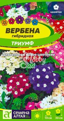 Цветы Вербена Триумф гибридная (0,1 г) Семенга Алтая