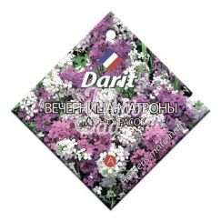Цветы Вечерница Матроны смесь окрасок (0,7 г) Дарит 