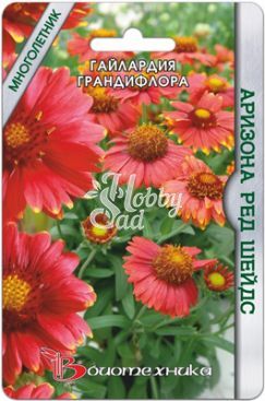 Цветы Гайлардия грандифлора Аризона Ред Шейдс (8 шт) Биотехника