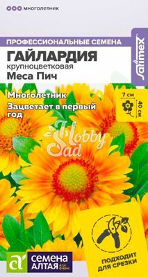 Цветы Гайлардия Меса Брайт Биколор (3 шт) Семена Алтая НОВИНКА !