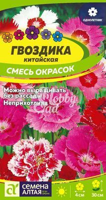 Цветы Гвоздика Китайская Смесь окрасок (0,1 г) Семена Алтая