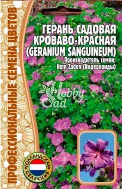 Цветы Герань Кроваво-Красная садовая (3 шт) ЭКЗОТИКА