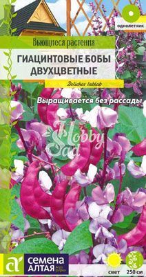 Цветы Гиацинтовые бобы Двухцветные вьющиеся (1 г) Семена Алтая серия Вьющиеся растения