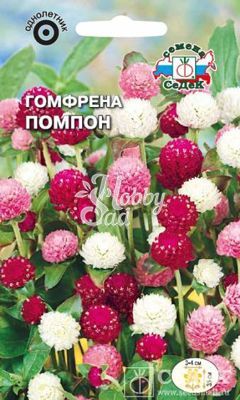 Цветы Гомфрена Помпон шаровидная смесь (0,1 г) Седек