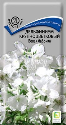 Цветы Дельфиниум Белая бабочка крупноцветковый (0,2 г) Поиск