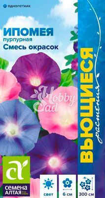 Цветы Ипомея Пурпурная смесь (0,5 г) Семена Алтая серия Вьющиеся растения