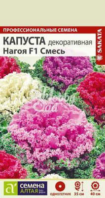 Цветы Капуста Нагойя F1 Смесь декоративная (10 шт) Семена Алтая