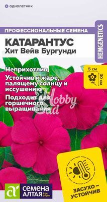 Цветы Катарантус Хит Вейв Бургунди (5 шт) Семена Алтая 