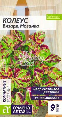 Цветы Колеус Визард Мозаика (5 шт) Семена Алтая
