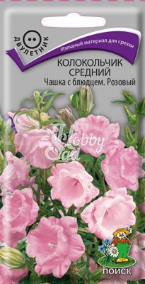 Цветы Колокольчик Чашка с блюдцем Розовый средний (0,1 г) Поиск