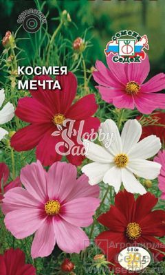 Цветы Космея Мечта  (0,5г) Седек