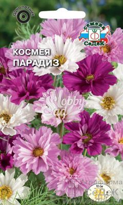 Цветы Космея Парадиз ( махровая смесь ) (0,1 г) Седек