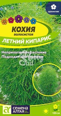 Цветы Кохия Летний Кипарис (0,2 г) Семена Алтая