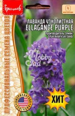 Цветы Лаванда ELEGANCE Purple узколистная компактная (5 шт) ЭКЗОТИКА