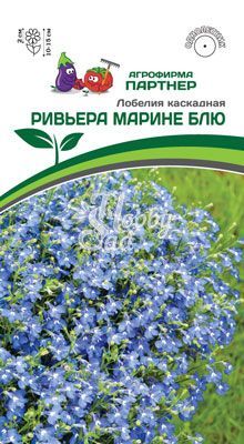 Цветы Лобелия Ривьера Марине Блю каскадная (10 шт) Партнер 