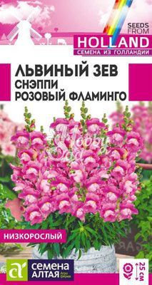 Цветы Львиный зев Снэппи Розовый фламинго (7 шт) Семена Алтая