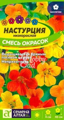 Цветы Настурция Смесь Окрасок низкорослая (1 гр) Семена Алтая 