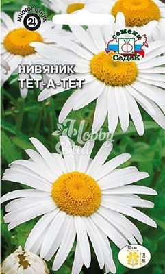 Цветы Нивяник Тет-а-тет крупноцветковый (0,2 г) Седек