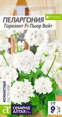 Цветы Пеларгония Горизонт F1 Пьюр Вайт зональная (4 шт) Семена Алтая Комнатные