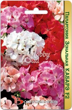 Цветы Пеларгония Кабарэ F2 зональная  (5 шт) Биотехника