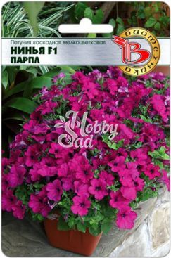 Цветы Петуния каскадная Нинья F1 Парпл мелкоцветковая (5 шт) Биотехника