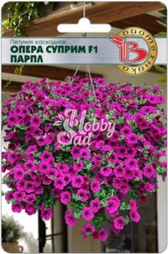 Цветы Петуния каскадная Опера Суприм F1 Парпл (5 шт) Биотехника