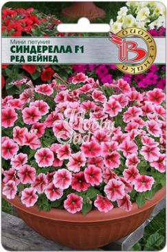 Цветы Петуния Мини Синдерелла F1 Ред Вейнед (15 шт) Биотехника