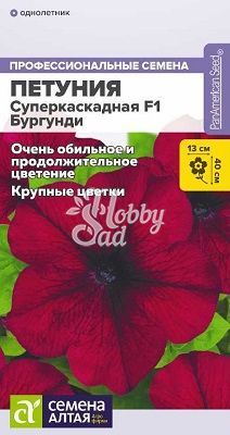 Цветы Петуния Суперкаскадная F1 Бургунди (7 шт) Семена Алтая