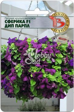 Цветы Петуния Сферика F1 Дип Парпл крупноцветковая (10 шт) Биотехника