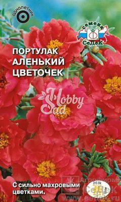 Цветы Портулак Аленький цветочек  (0,04г) Седек
