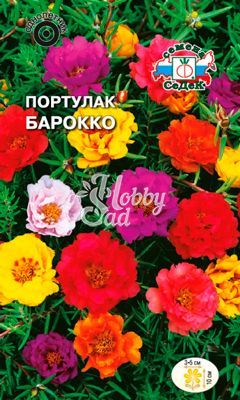 Цветы Портулак Барокко крупноцветковый (0,1 г) Седек