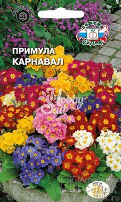 Цветы Примула Карнавал (бесстебельная, смесь цветов) (0,02 г) Седек