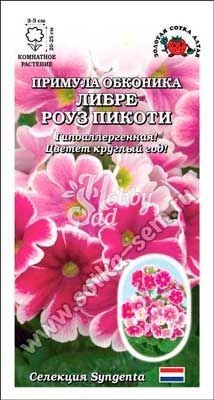 Цветы Примула Либре Роуз Пикоти (5 шт) Сотка