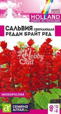 Цветы Сальвия Редди Брайт Ред сверкающая (5 шт) Семена Алтая