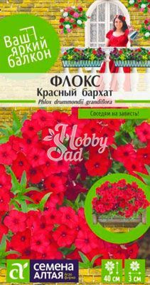 Цветы Флокс Красный Бархат друммонда (0,1 г) Семена Алтая Ваш яркий балкон