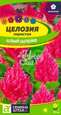 Цветы Целозия Алый шлейф перистая (0,2 г) Семена Алтая