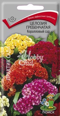 Цветы Целозия Коралловый Сад гребенчатая (0,1 г) Поиск