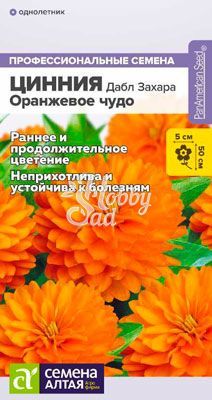 Цветы Цинния Дабл Захара Оранжевое чудо (6 шт) Семена Алтая